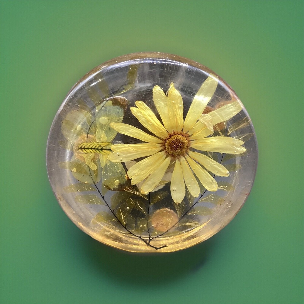 Vintage Dried Flower/ Butterfly Lucite Acrylic Coaster- 3.25"‎ in Diameter